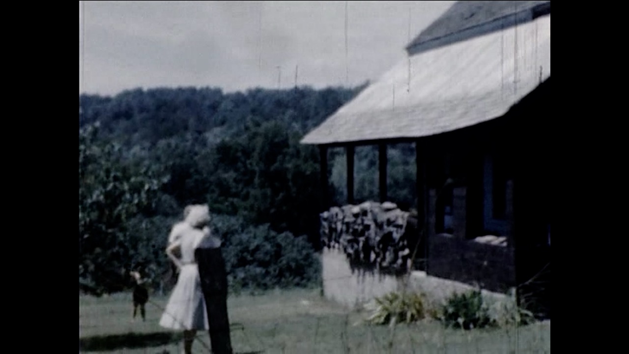 marigold film still